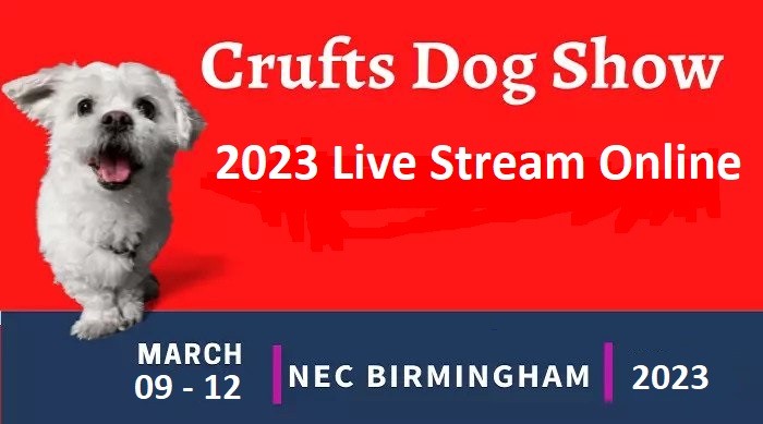 Crufts dog show 2023 live stream